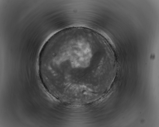 X0000101091076200807171842