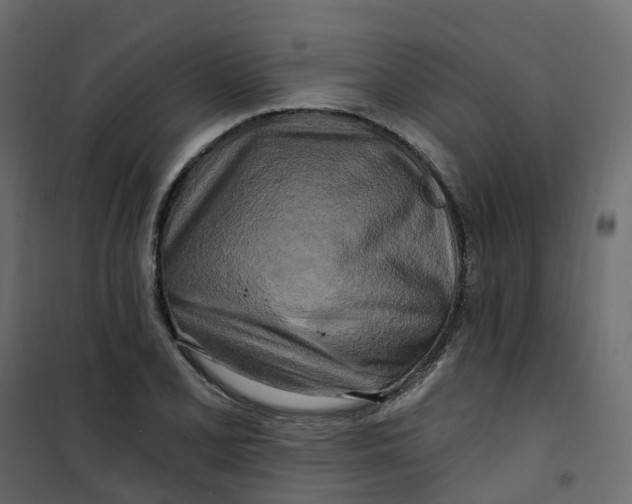 X0000101091077200807171842