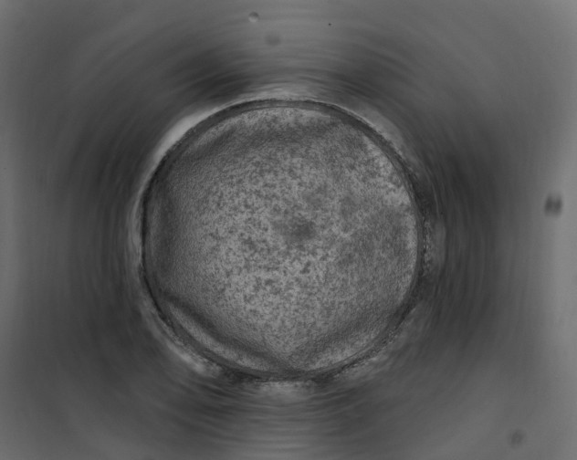 X0000101091078200807171842