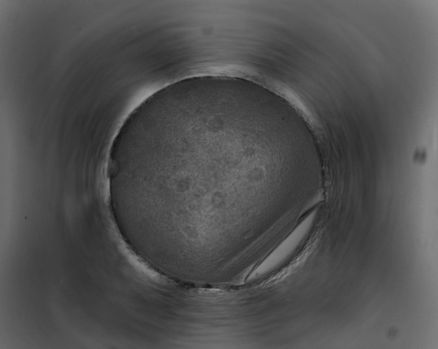 X0000101091079200807171842