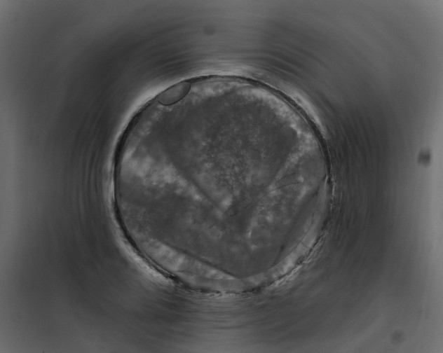 X0000101091080200807171842