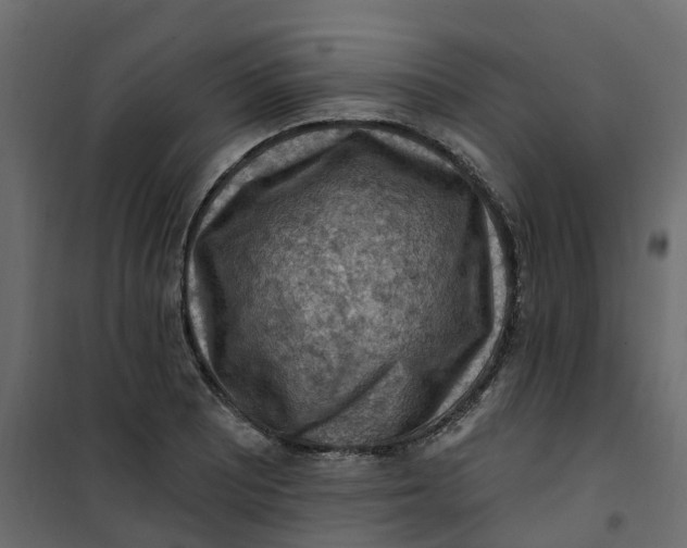 X0000101091081200807171842