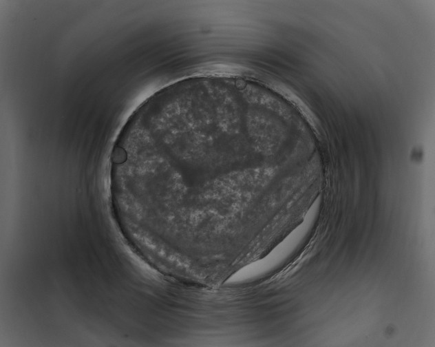 X0000101091083200807171842