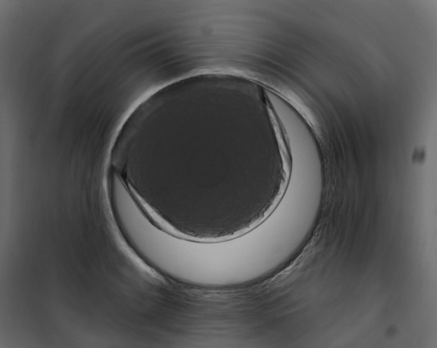 X0000101091084200807171842