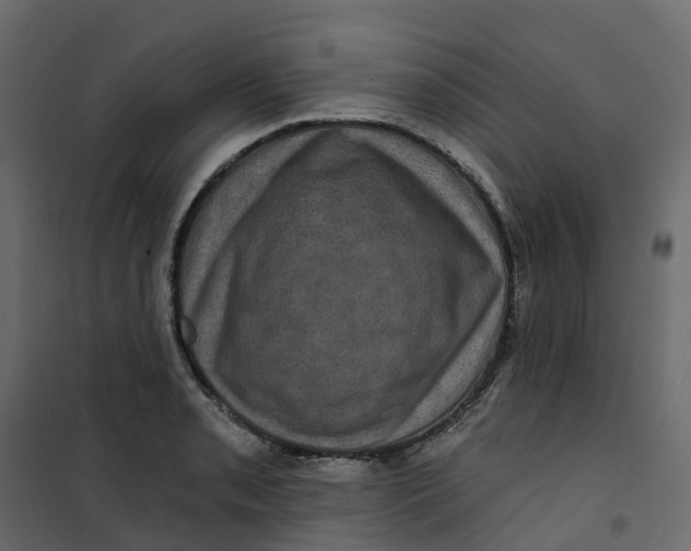 X0000101091085200807171842