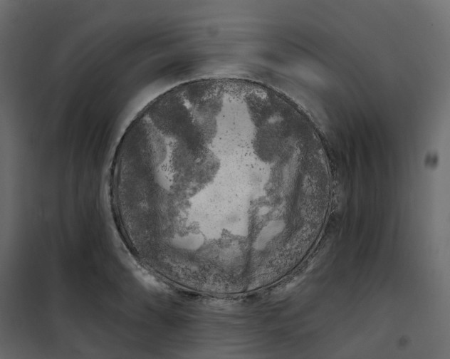 X0000101091086200807171842