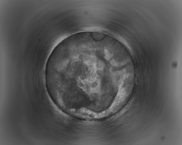 X0000101091087200807171842