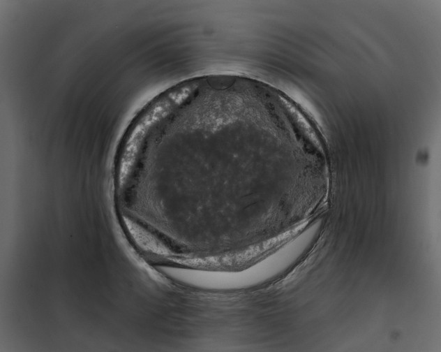 X0000101091088200807171842