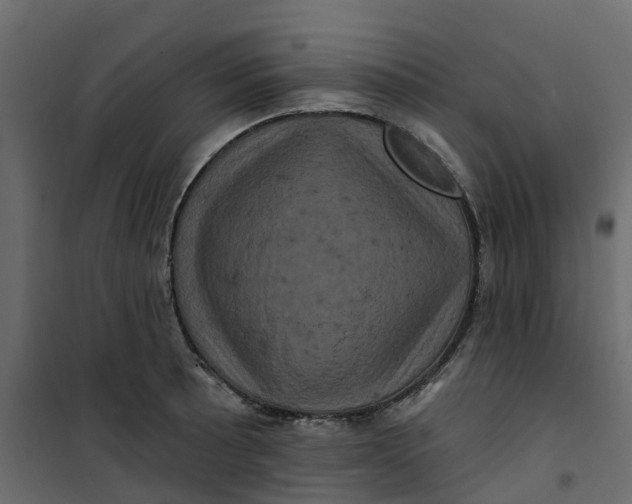 X0000101091089200807171842