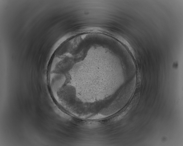 X0000101091090200807171842