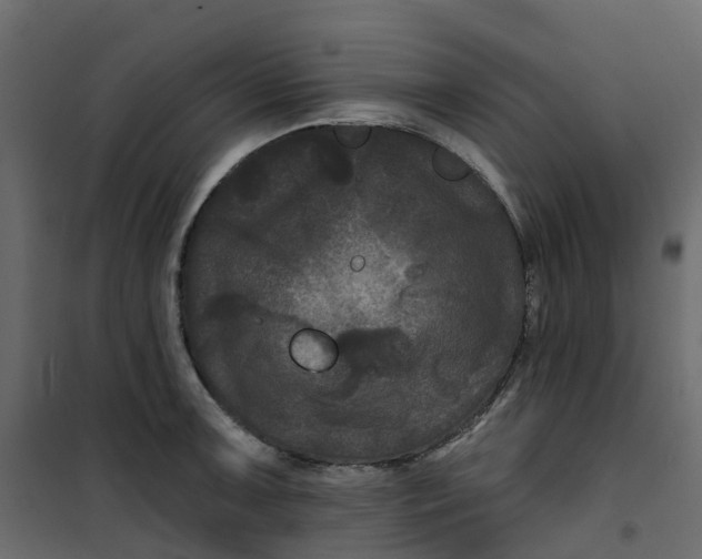 X0000101091091200807171842