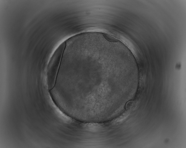 X0000101091092200807171842