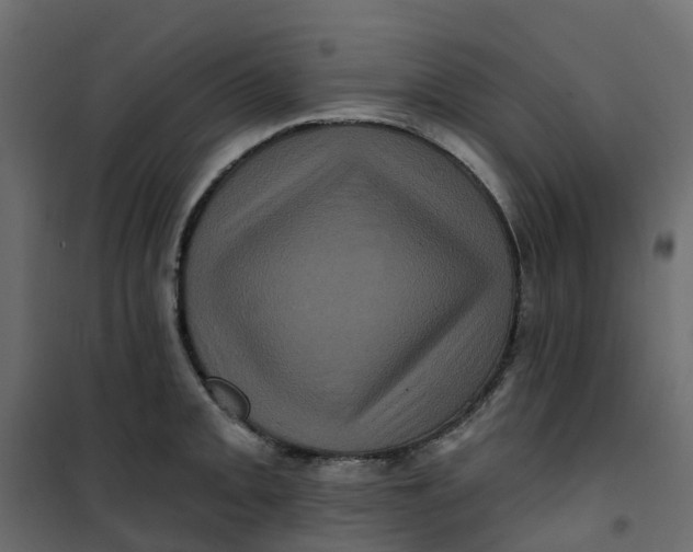 X0000101091093200807171842