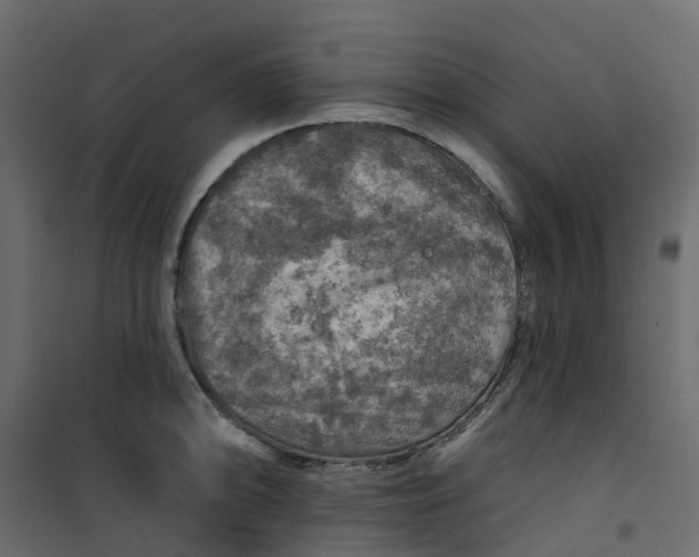 X0000101091094200807171842