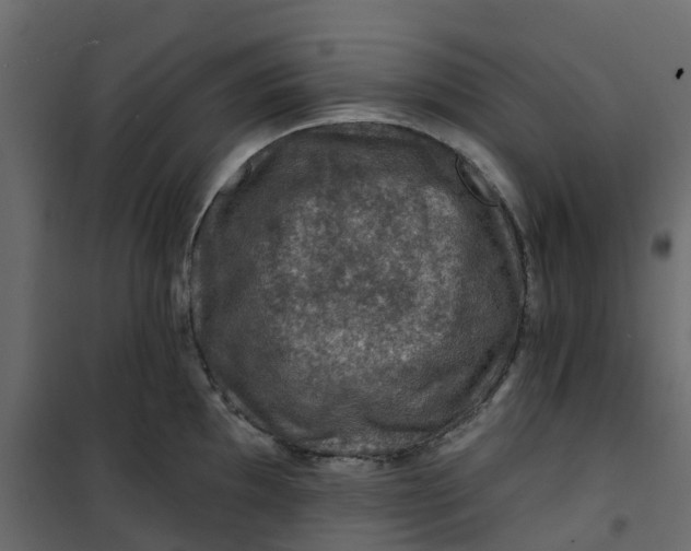 X0000101091097200807171842