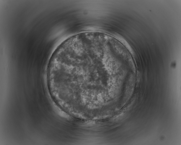 X0000101091098200807171842