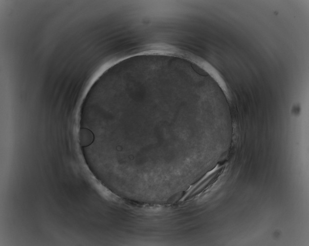 X0000101091099200807171842