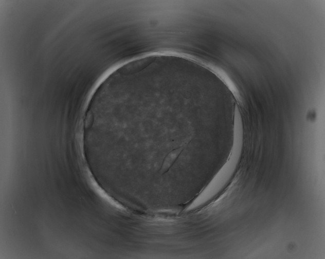 X0000101091100200807171842