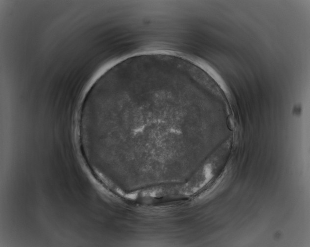 X0000101091101200807171842