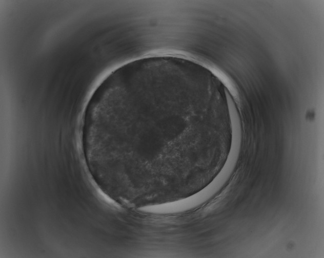 X0000101091102200807171842