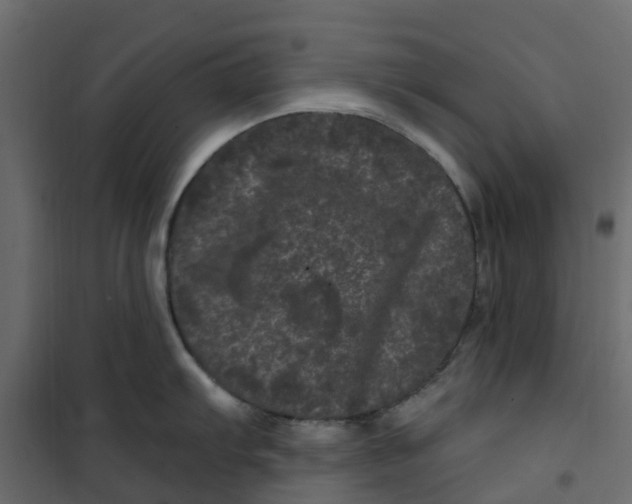 X0000101091103200807171842