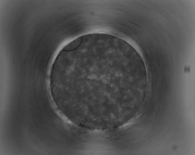 X0000101091104200807171841