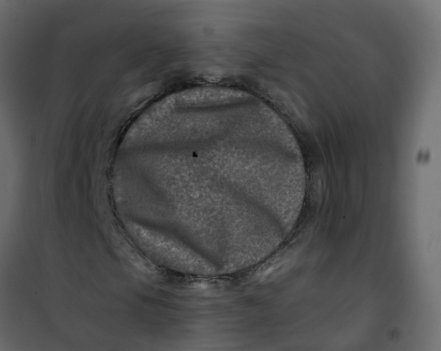 X0000101091105200807171841