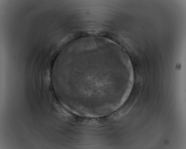 X0000101091106200807171841