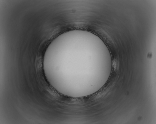 X0000101091107200807171841