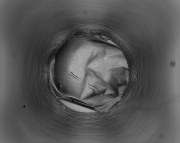 X0000101091108200807171841