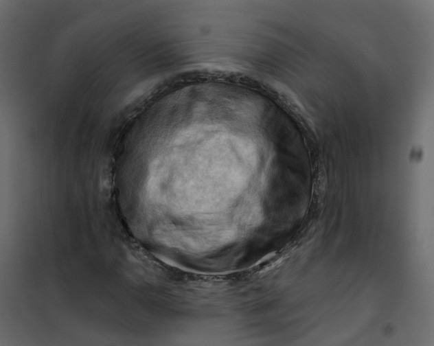 X0000101091110200807171841