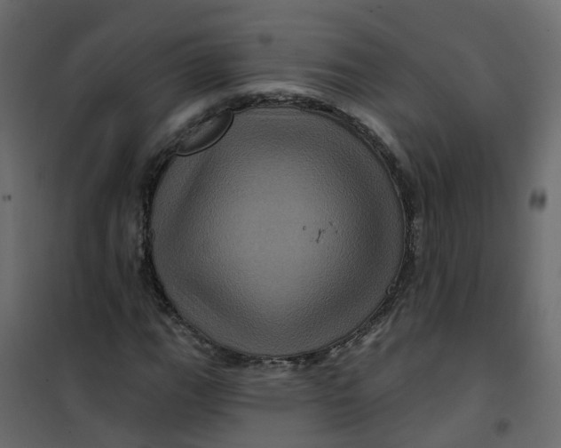 X0000101091111200807171841