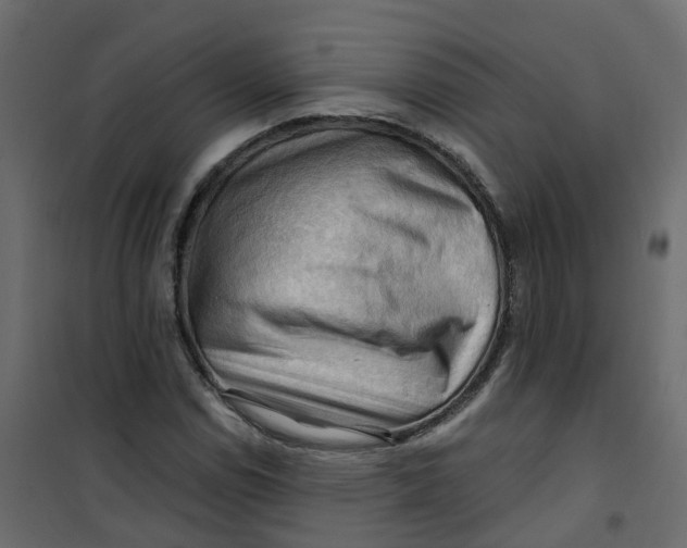 X0000101091114200807171841