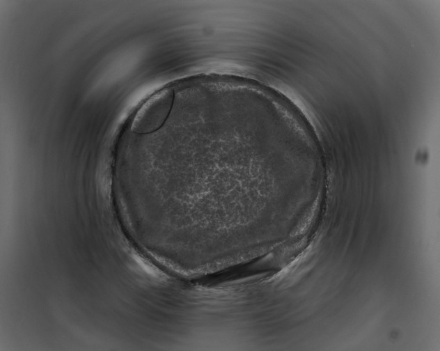 X0000101091115200807171841