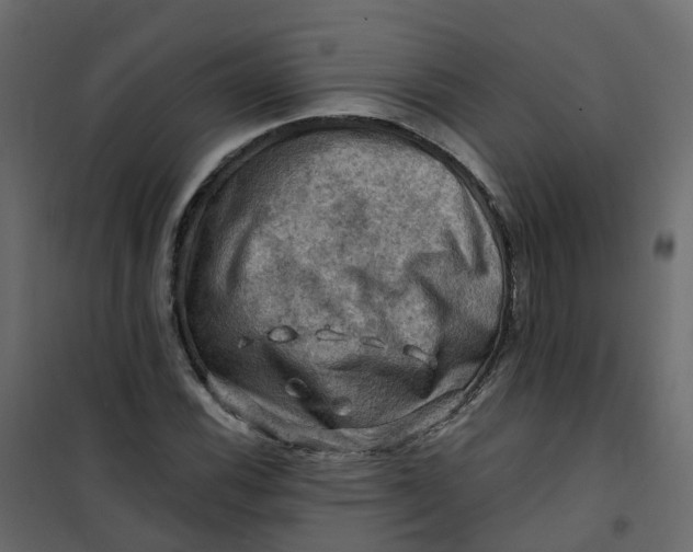 X0000101091116200807171841