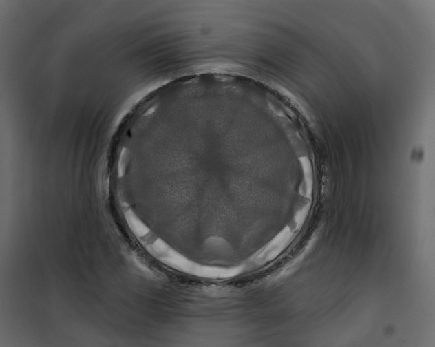 X0000101091117200807171841