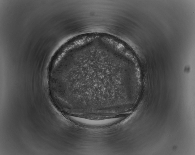 X0000101091118200807171841