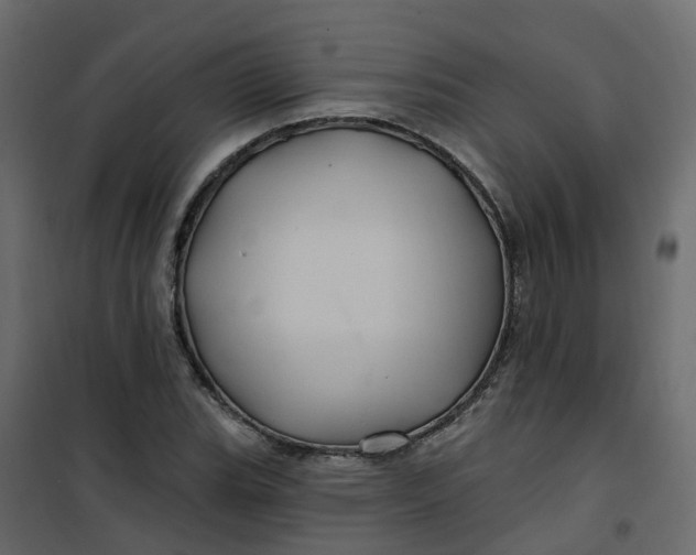 X0000101091119200807171841