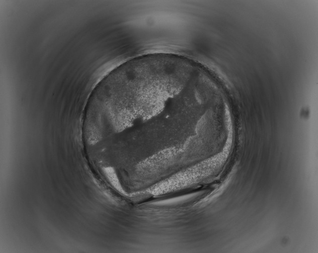 X0000101091121200807171841