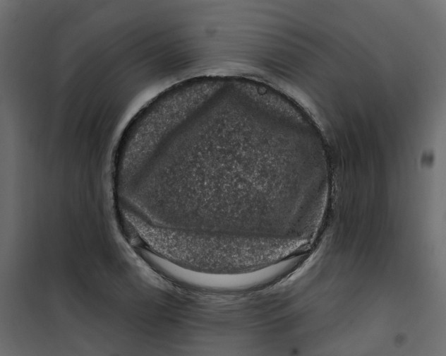 X0000101091122200807171841