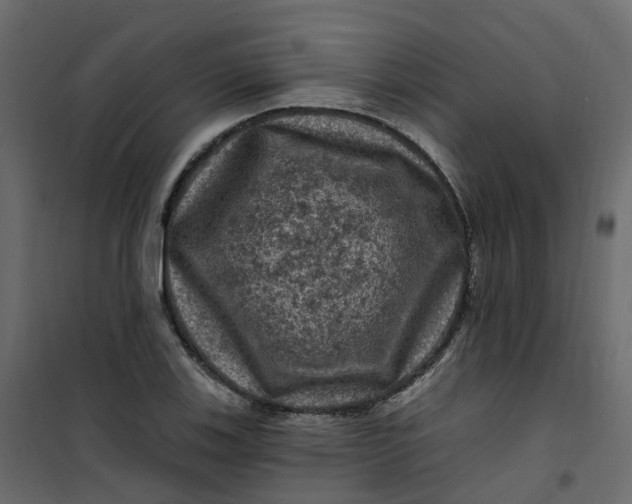 X0000101091123200807171841