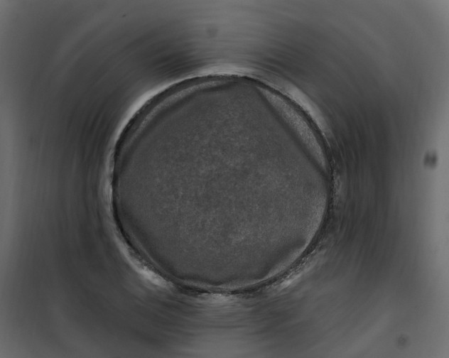 X0000101091124200807171841