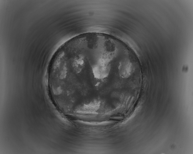 X0000101091125200807171841