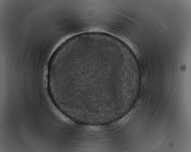 X0000101091126200807171841