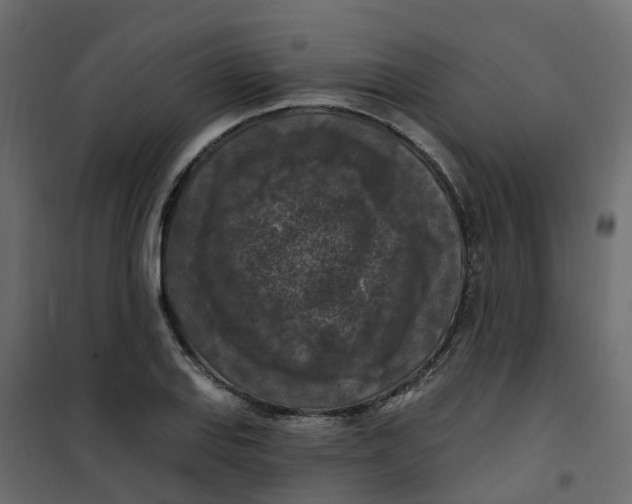 X0000101091127200807171841