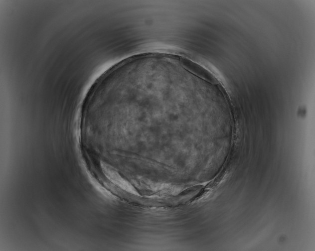 X0000101091128200807171841