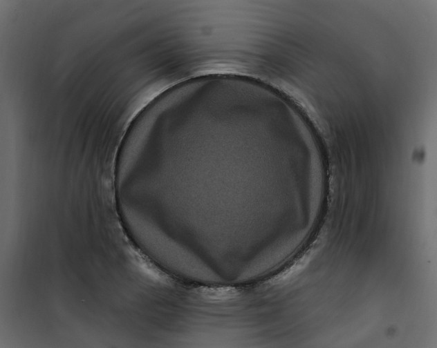 X0000101091129200807171841