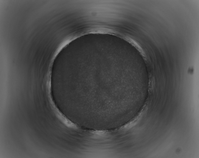 X0000101091130200807171841