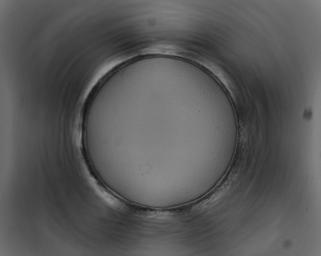 X0000101091131200807171841