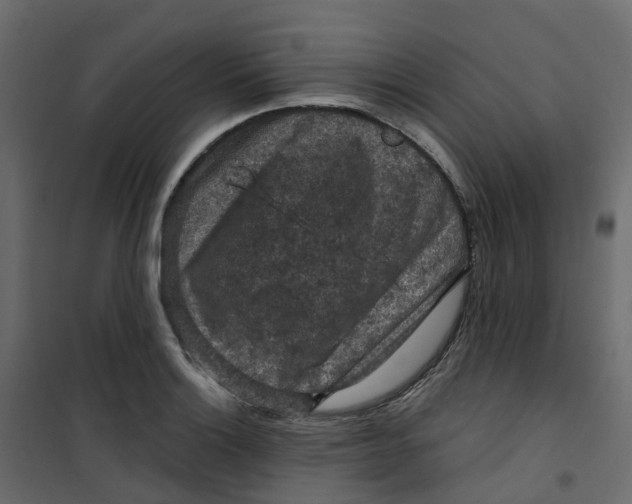 X0000101091132200807171841